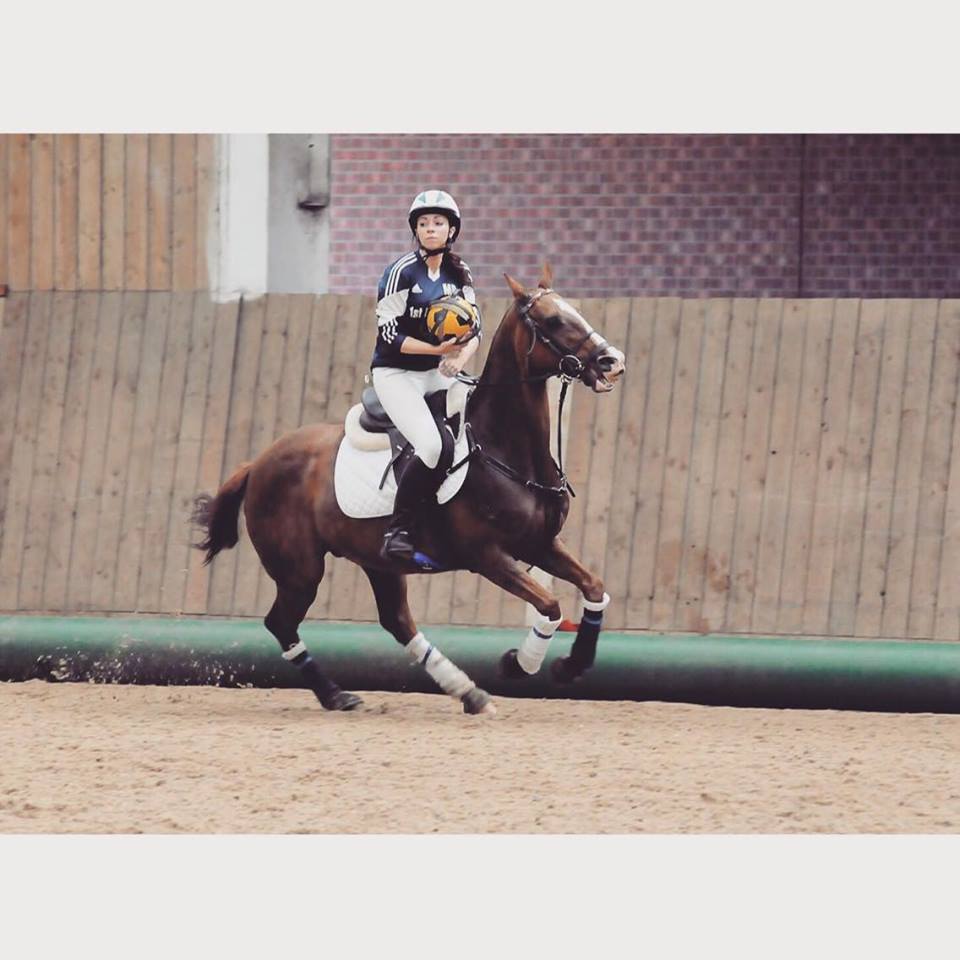 Onley Grounds Equestrian Complex | Rugby