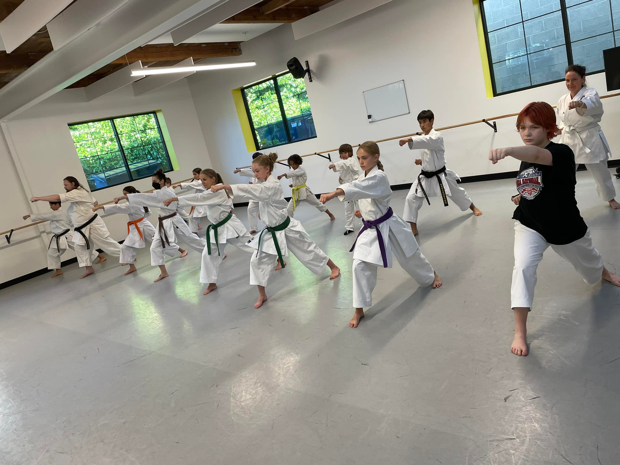 Pacific Shito-Ryu Karate Dojo, LLC