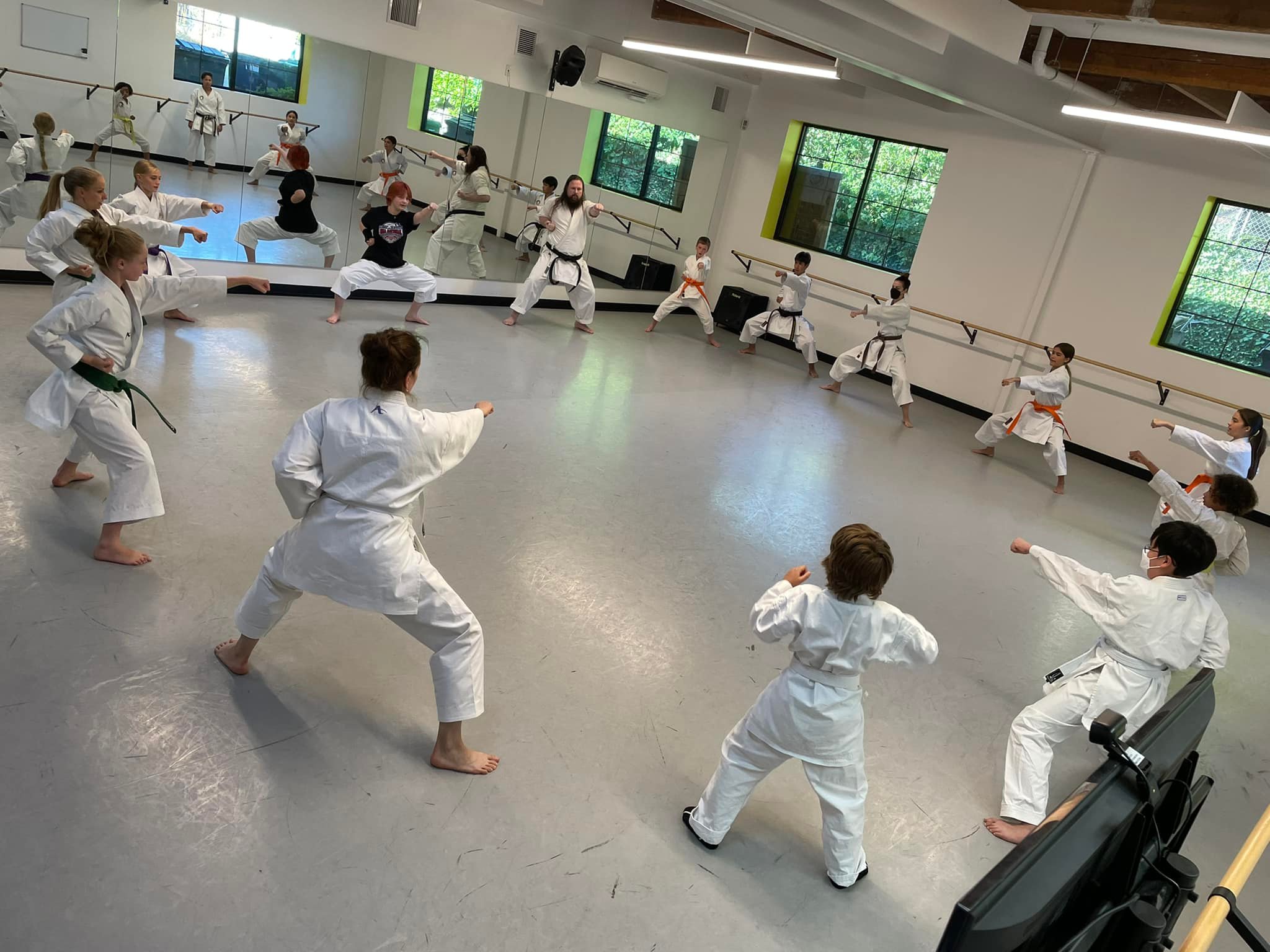 Pacific Shito-Ryu Karate Dojo, LLC