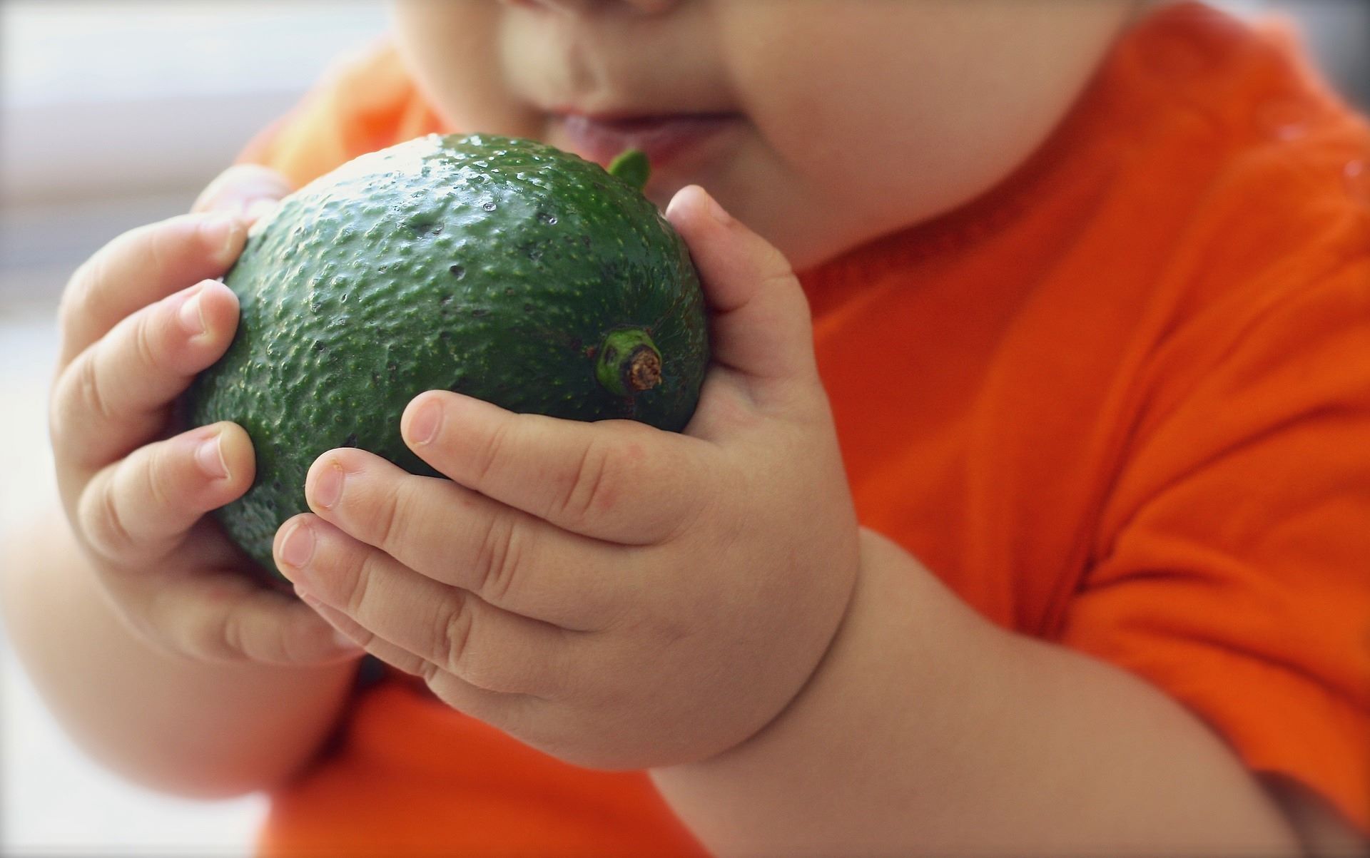 Intuitive Baby Feeding