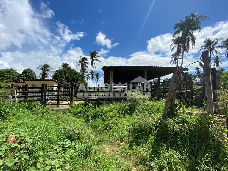 📍Fazenda em Itaporanga/SE... - Agrolar Imobiliária Rural