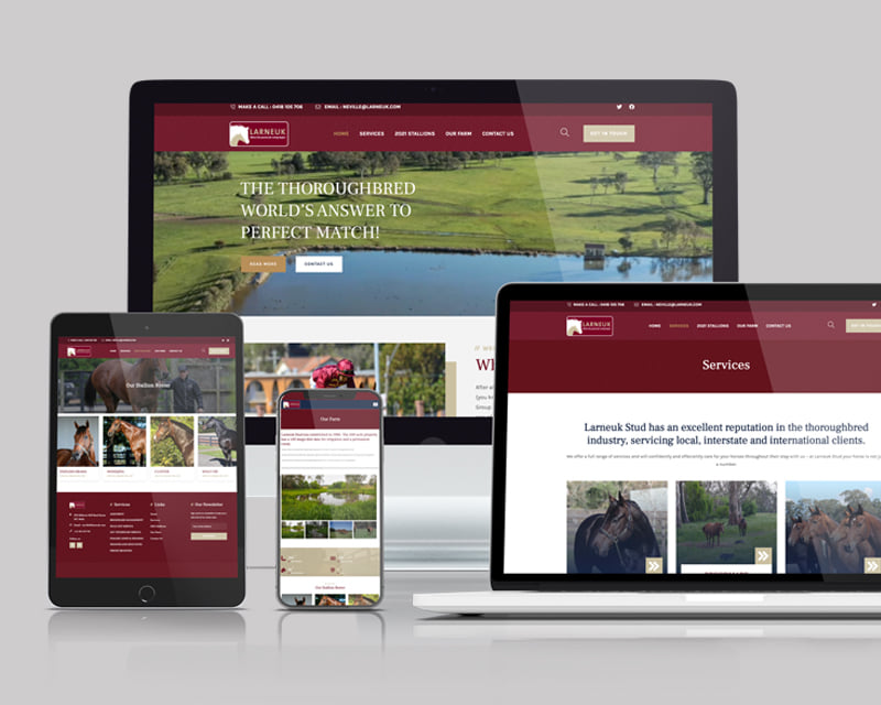 stu_art_graphics_webdesign