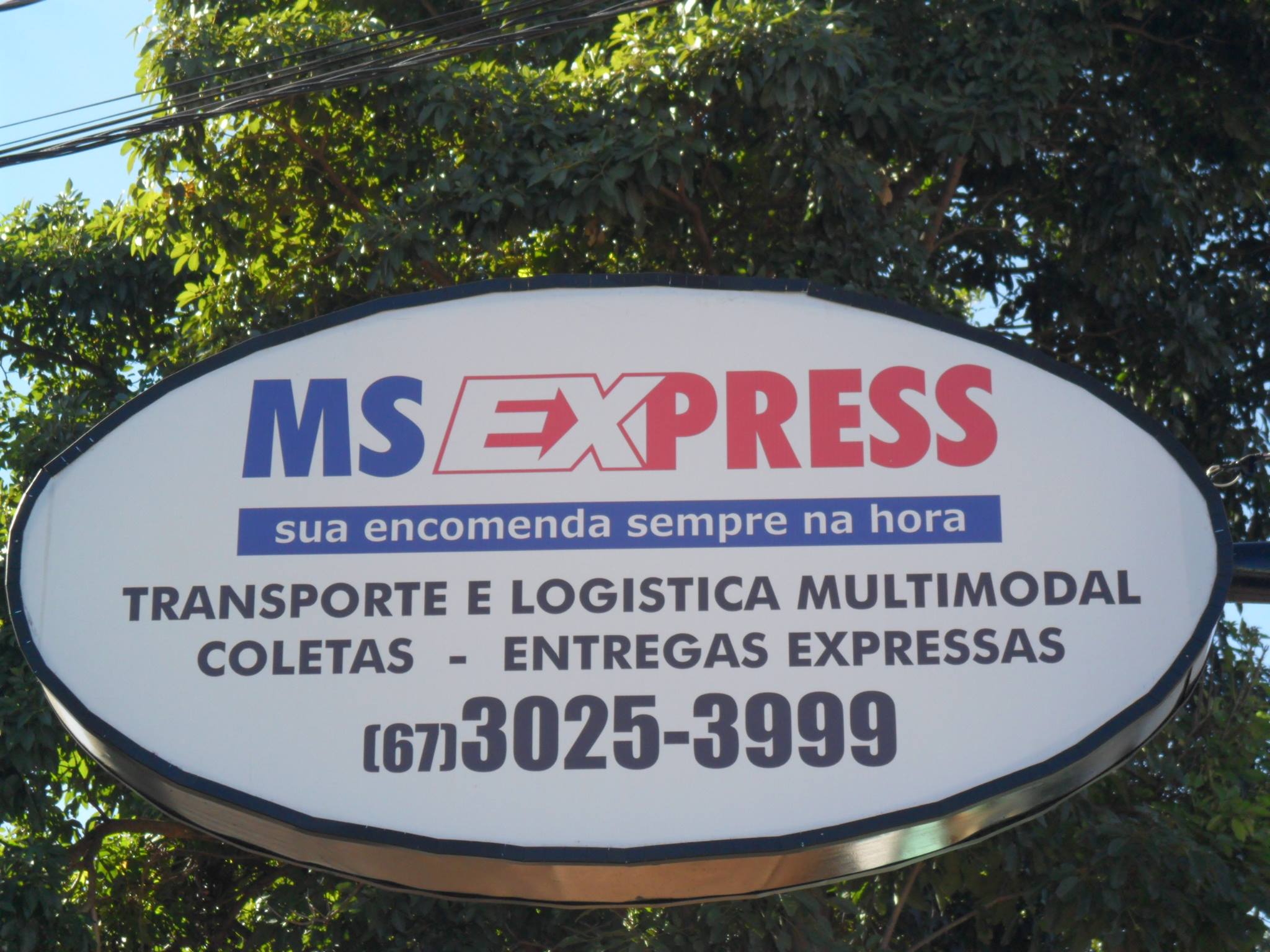 Ms express | Campo Grande MS
