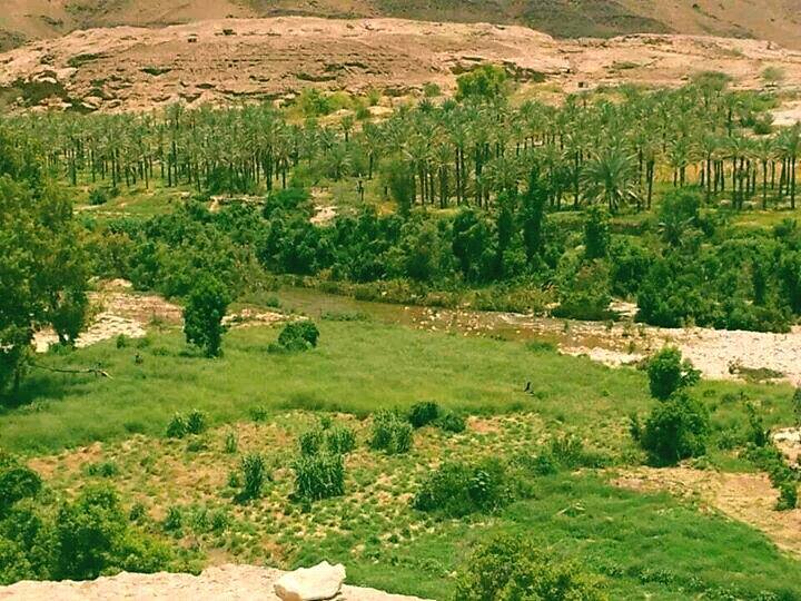 وادي الأحبة - دوعــن wadi doa'n - هي منطقة من أكبر قرى وادي دوعــن ...