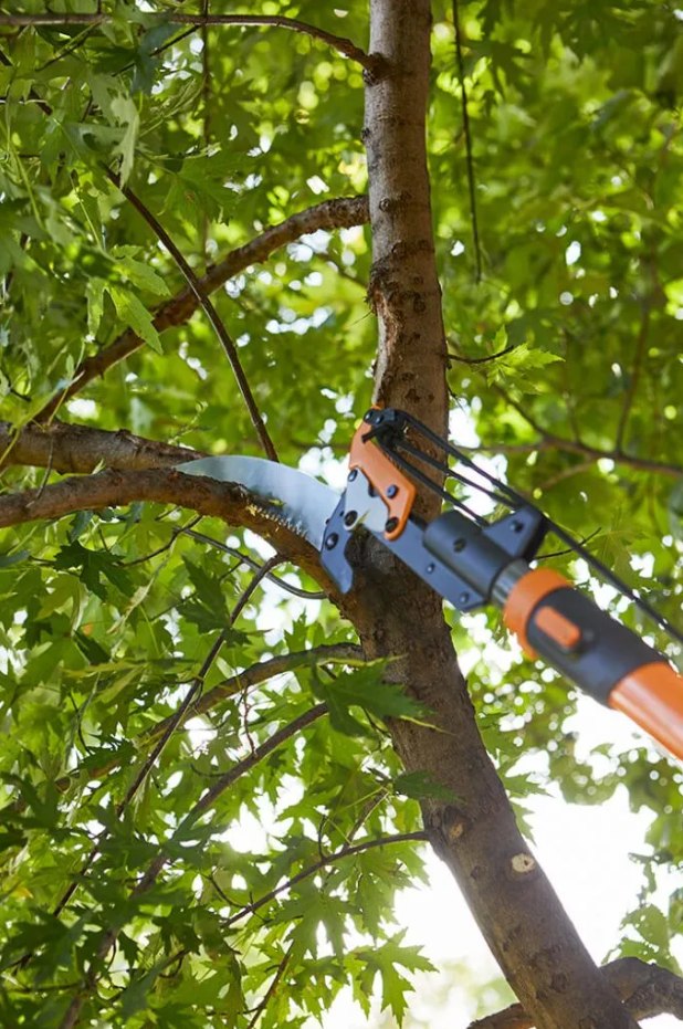High Performance Tree Service LLC | Pittstown NJ