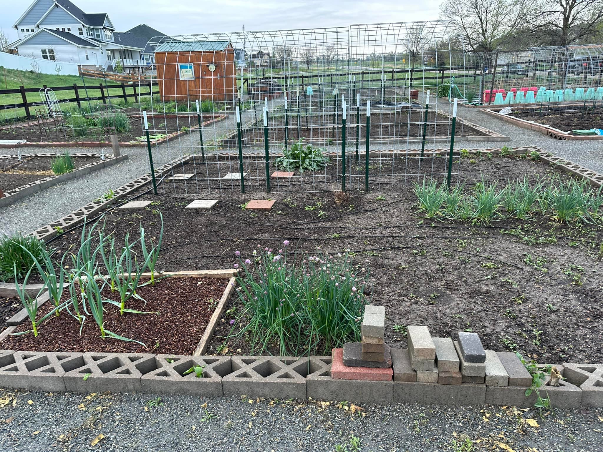 Kenosha Farm Community Garden