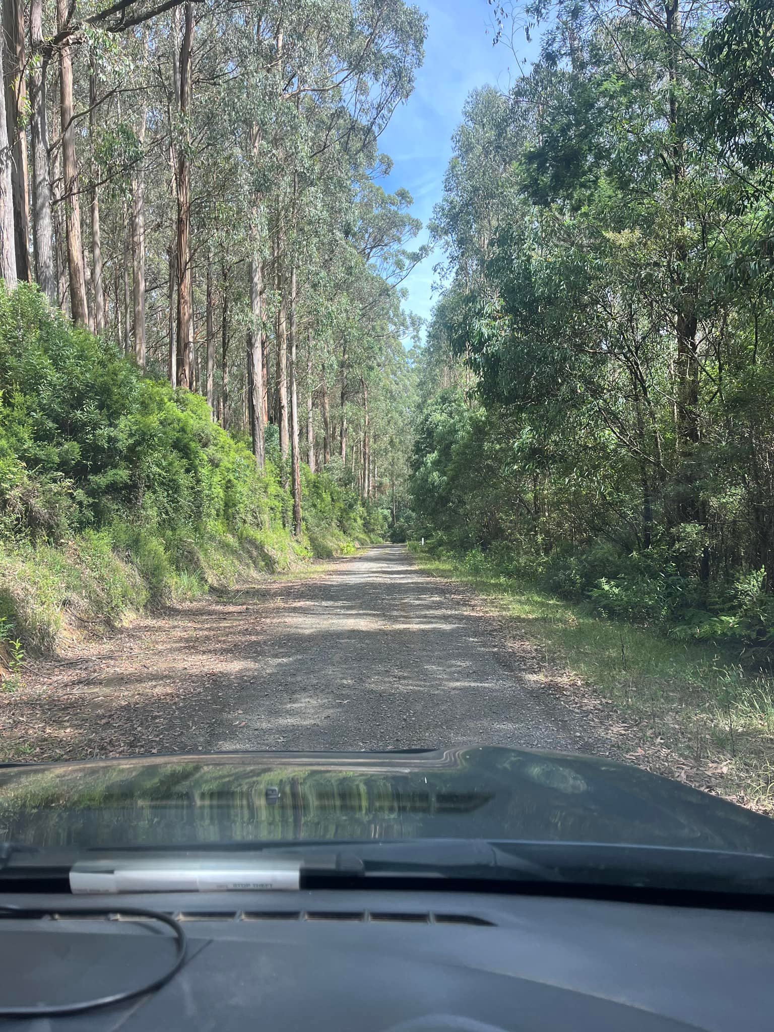 George Woods Rally | Powelltown VIC