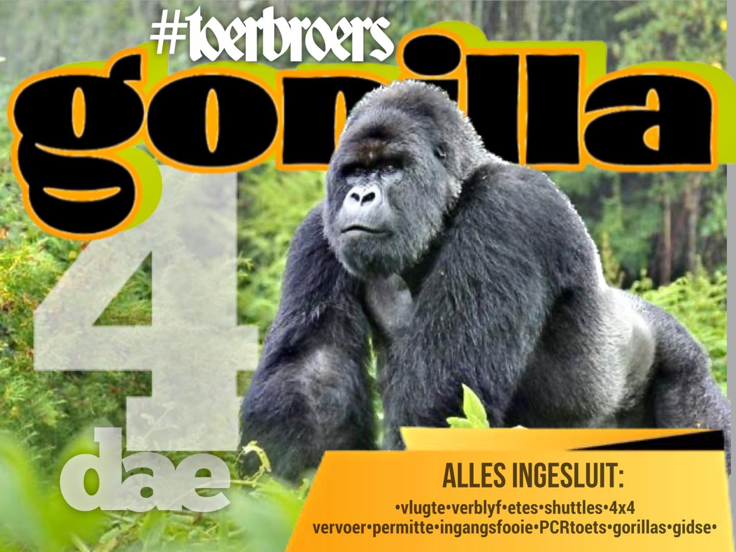Toerbroers - 🦍 2023 Bucket List Toer🦍 “Dis die laaste...