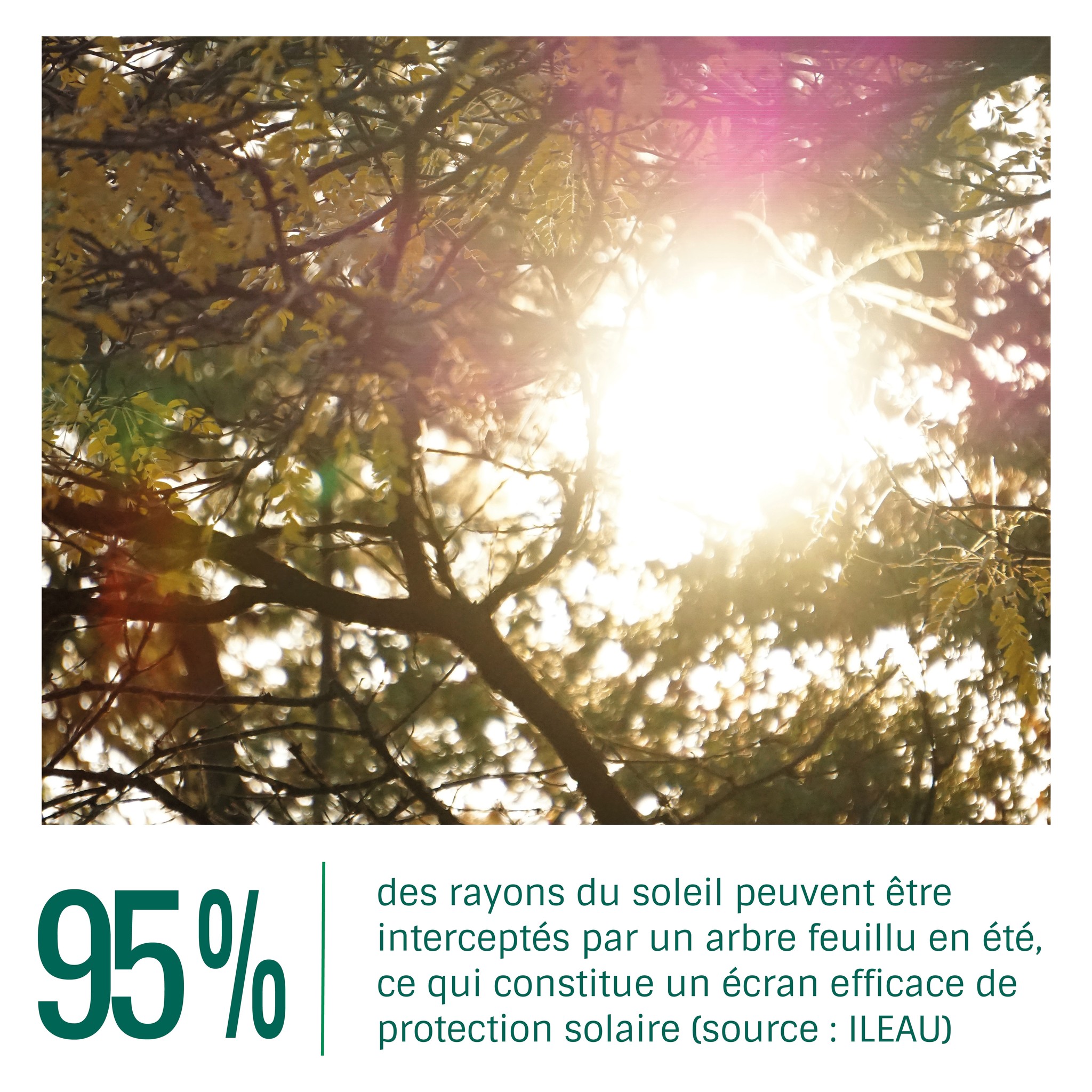 Outremont - ☀️ Si on aime le soleil, on sait tous qu’il faut s’y ...