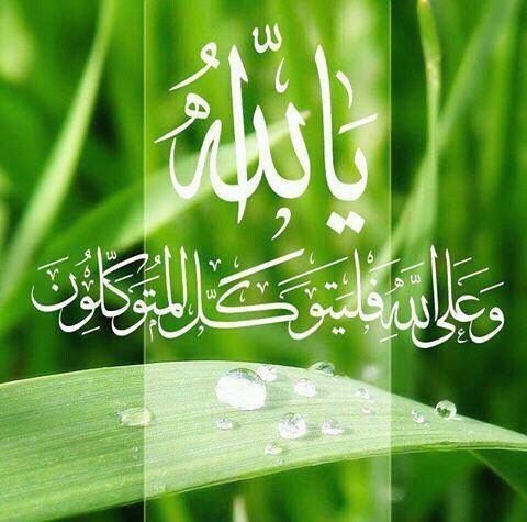 Alhiwar