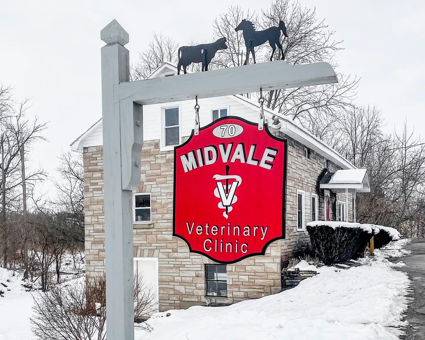 🐄*VIEWER DISCRETION IS ADVISED*󾇑 Cows are amazing at walling off ...