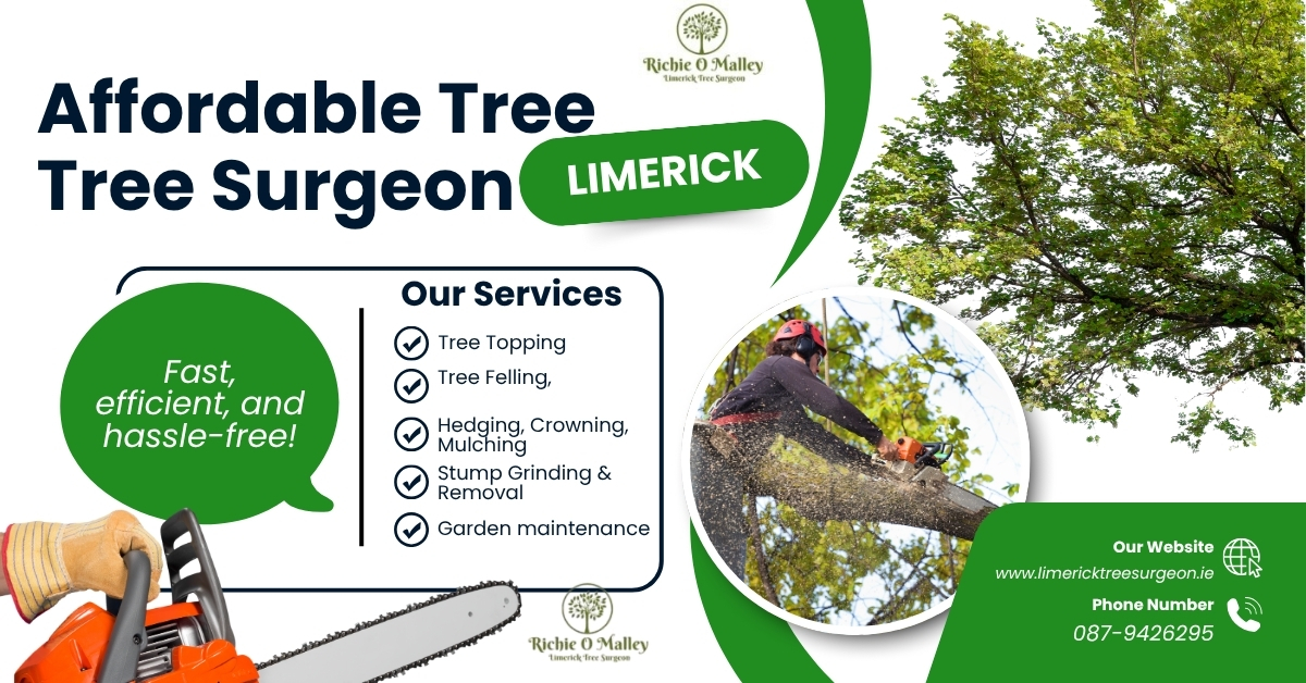 O'Malley tree care | Limerick