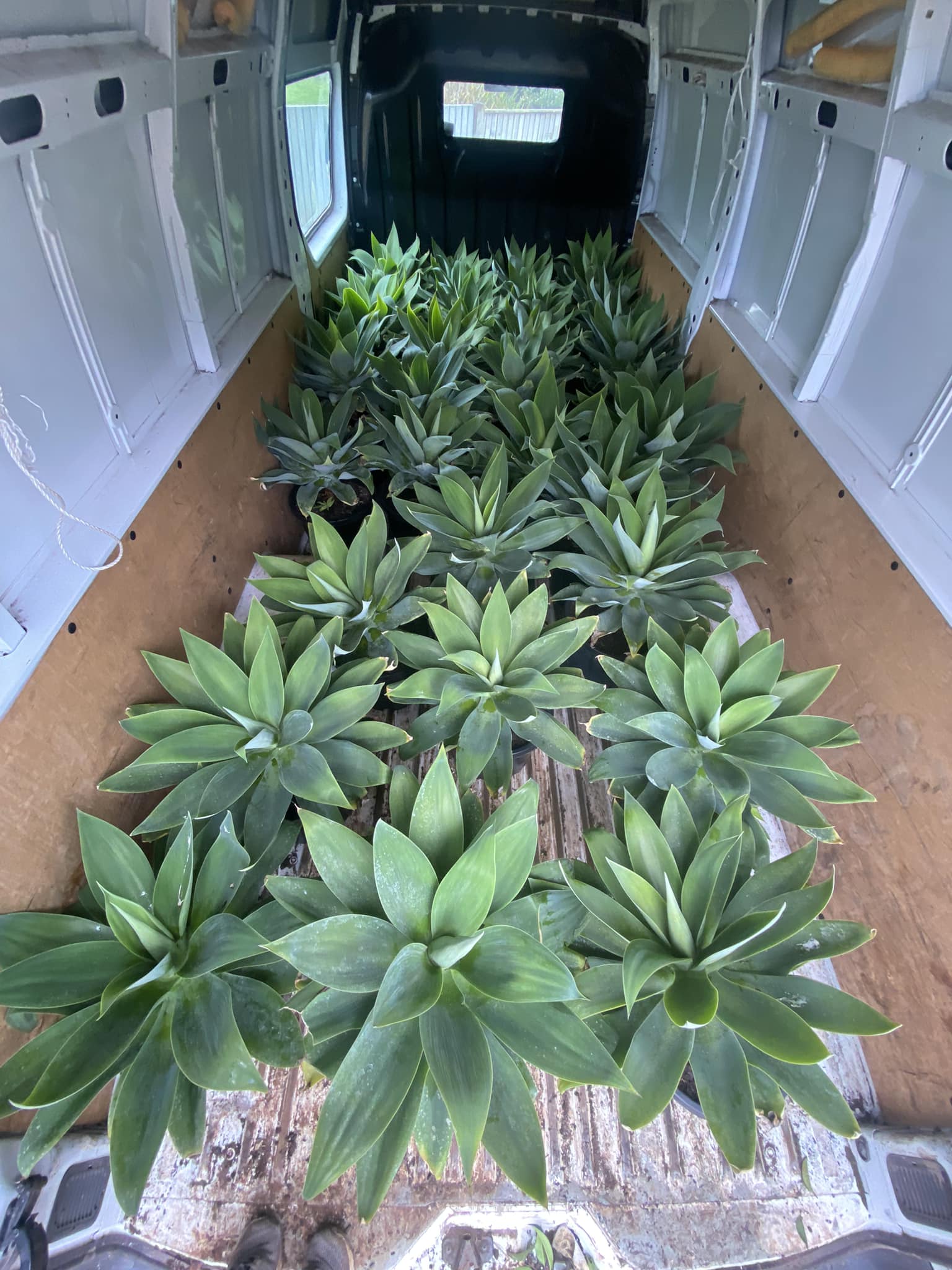 Plants R Us | Dromana VIC