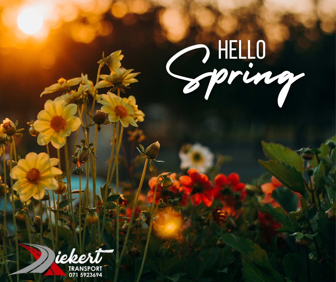 Hello Spring! 🌼🌻 Spring adds new life... - Riekert Transport