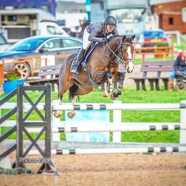 FS Sport Horses - FS Sport Horses added a new photo.