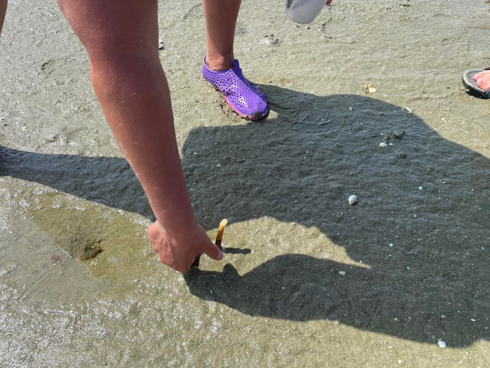 folklore.ie - Salting Razor Clams Here’s something that...