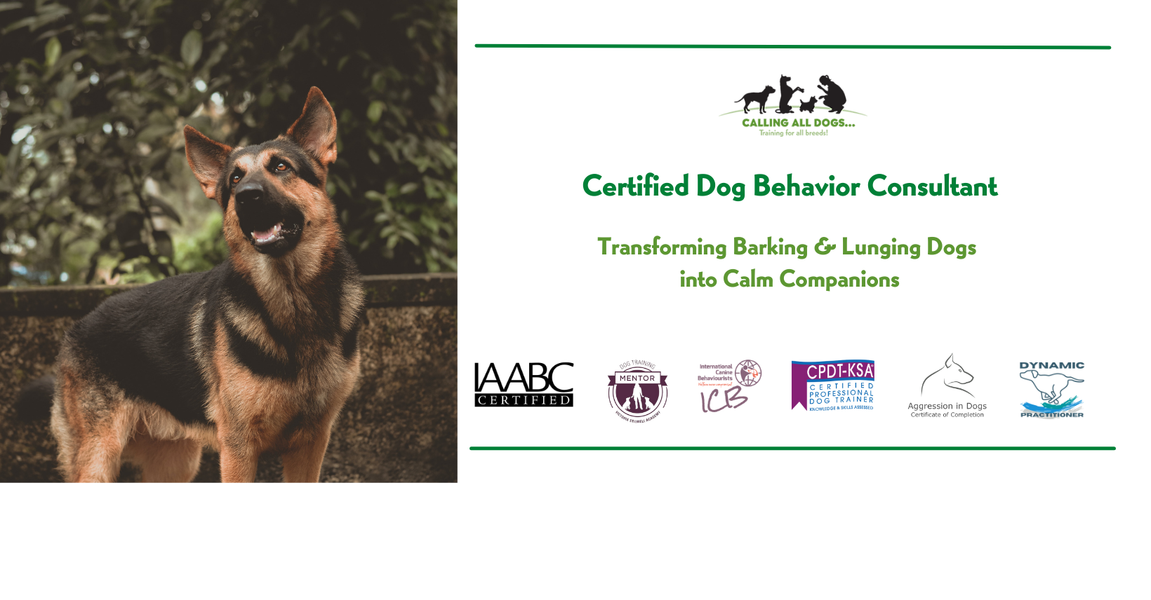 Calling All Dogs | Batavia NY