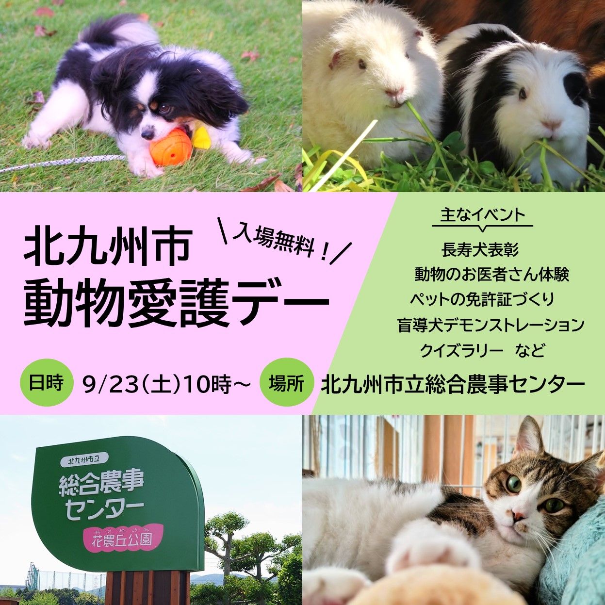 活動歴および当時の関連ビジュアル記録