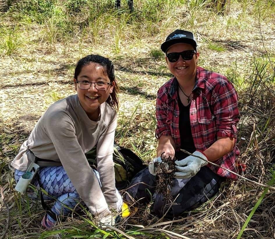 World Environment Day 2021 marks the... - Intrepid Landcare | Facebook