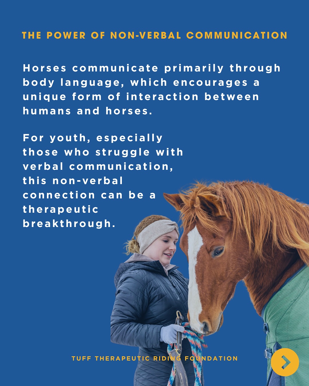 Tuff Therapeutic Riding Foundation | Loretto ON