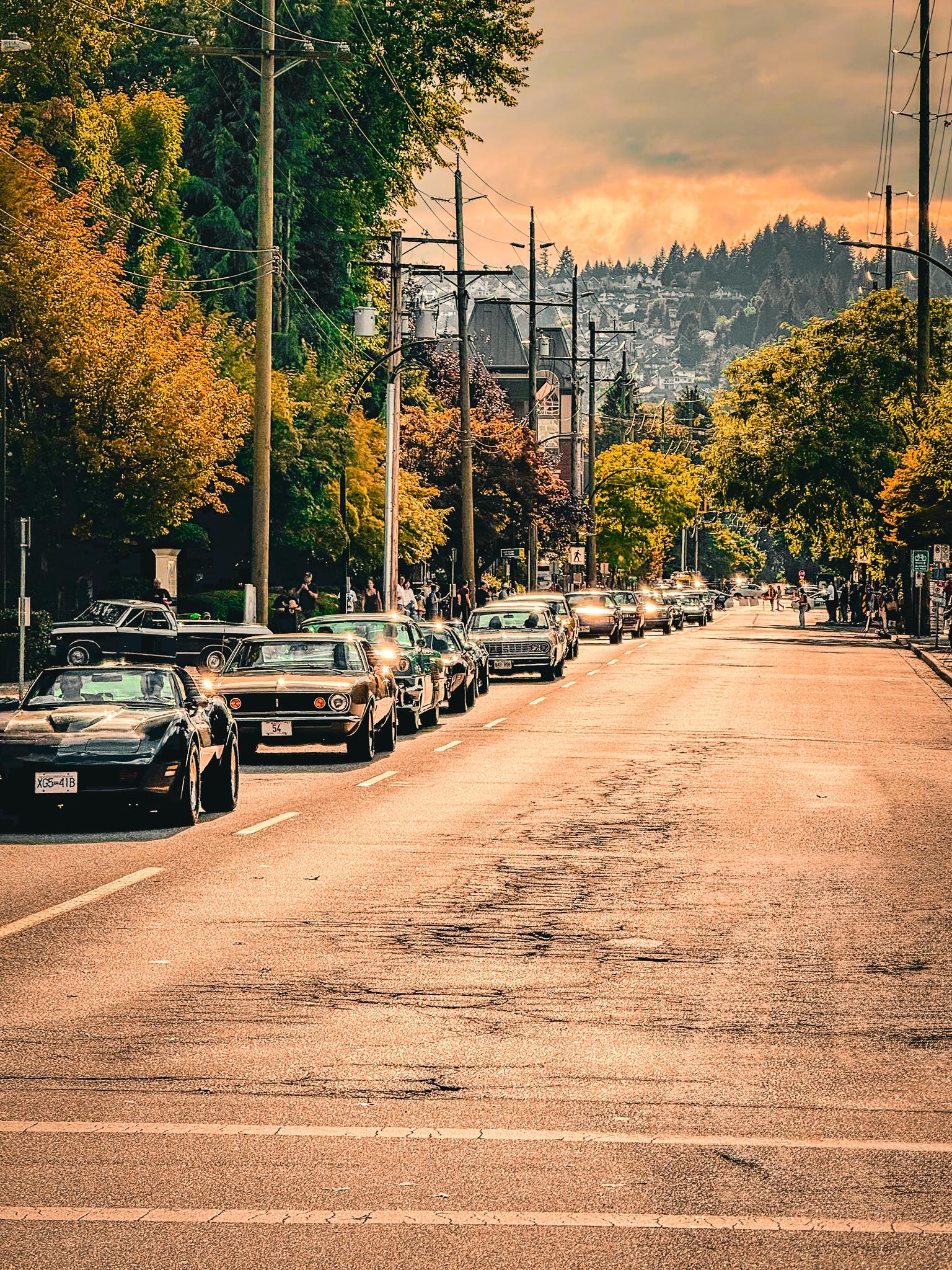 Poco - The parade cars lined up along Wilson Avenue, shining under the ...