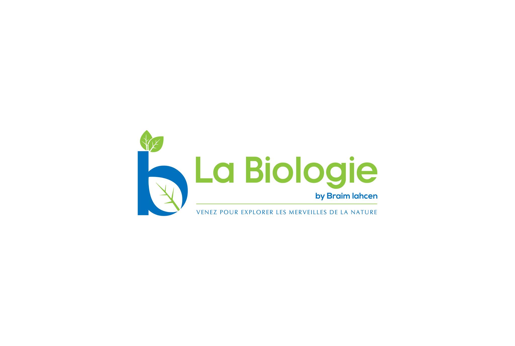15 jours de révisions, 15 exercices de bac pour balayer tout le ...