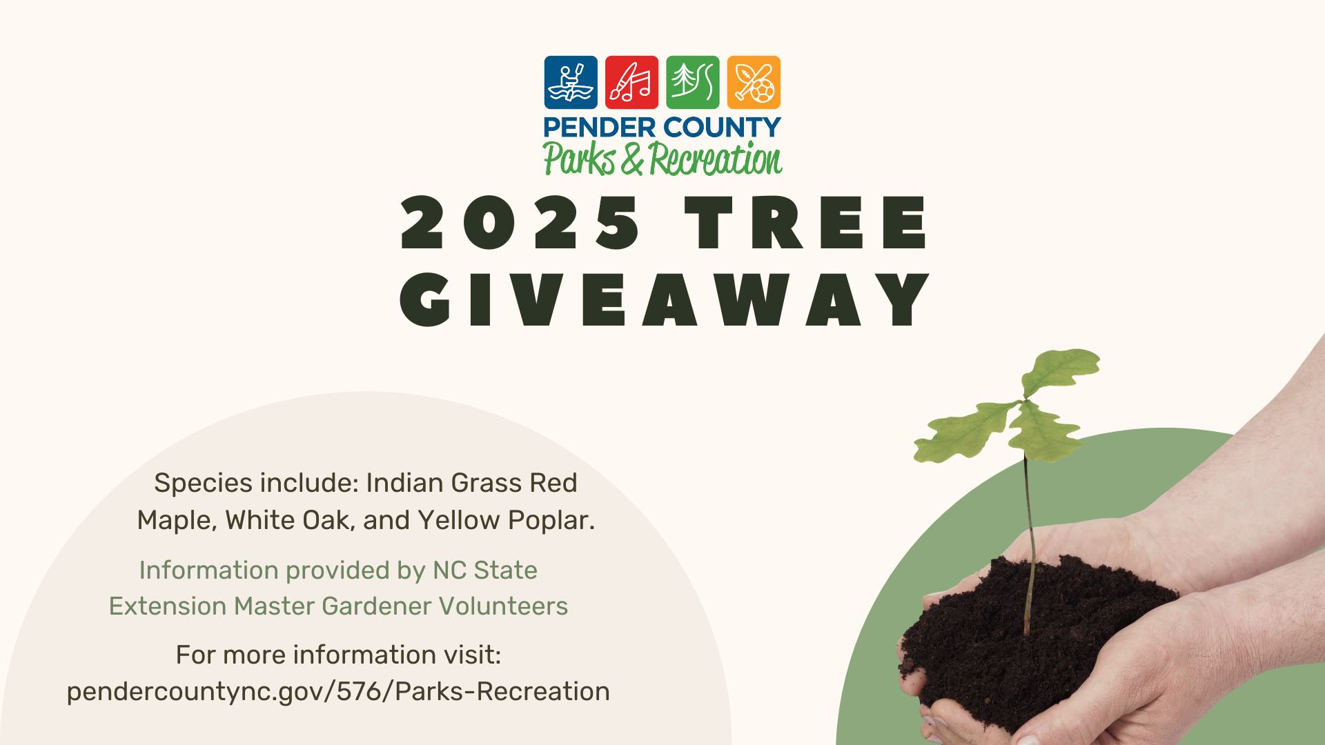Tree Giveaway