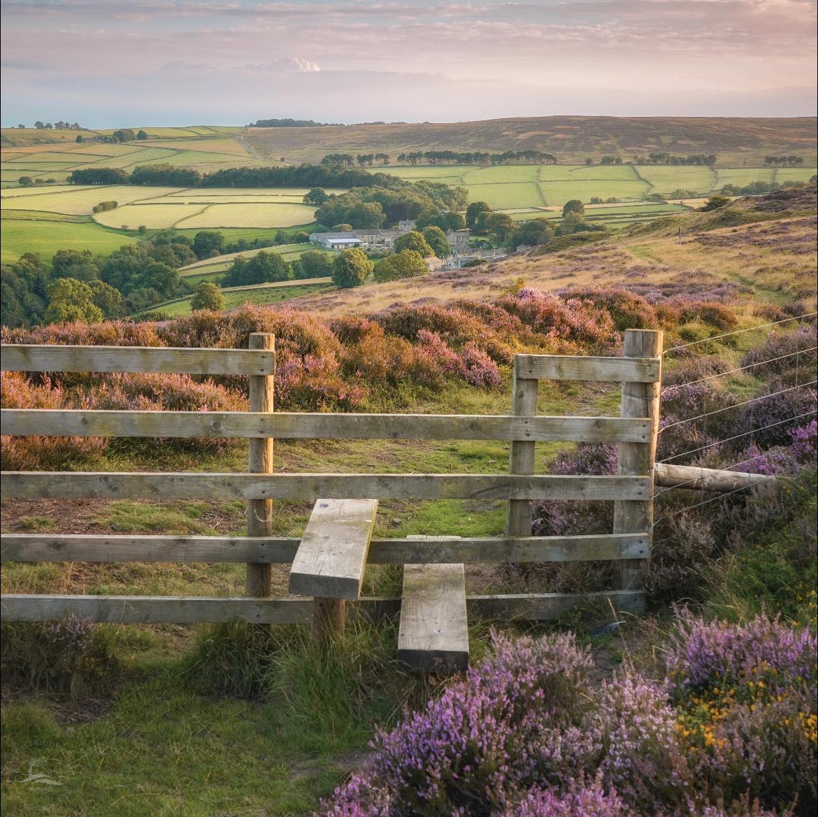 Peaklass - I love walking on the wind-blown moors of the Peak District ...