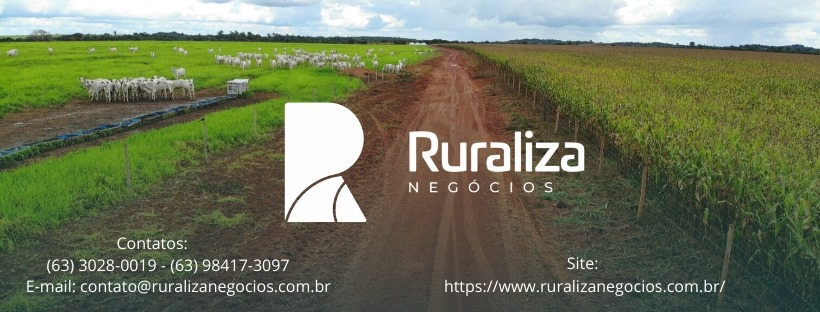 Rural Pará Imobiliária... - Rural Pará Imobiliária Fazendas