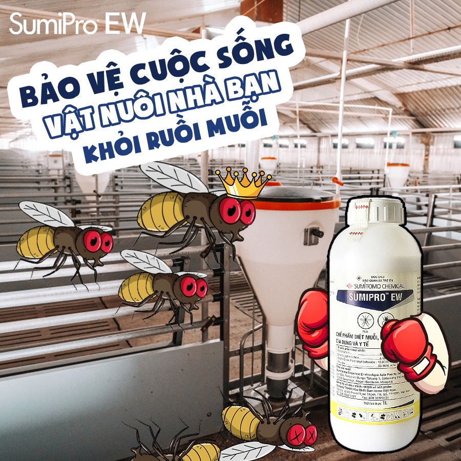 Pest Defense - Kiểm soát côn trùng | Facebook