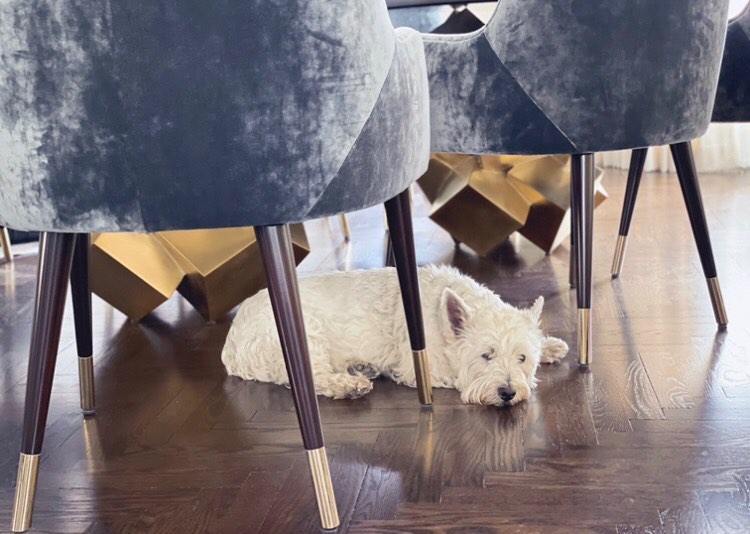 Jamie Herzlinger Interiors | Scottsdale AZ