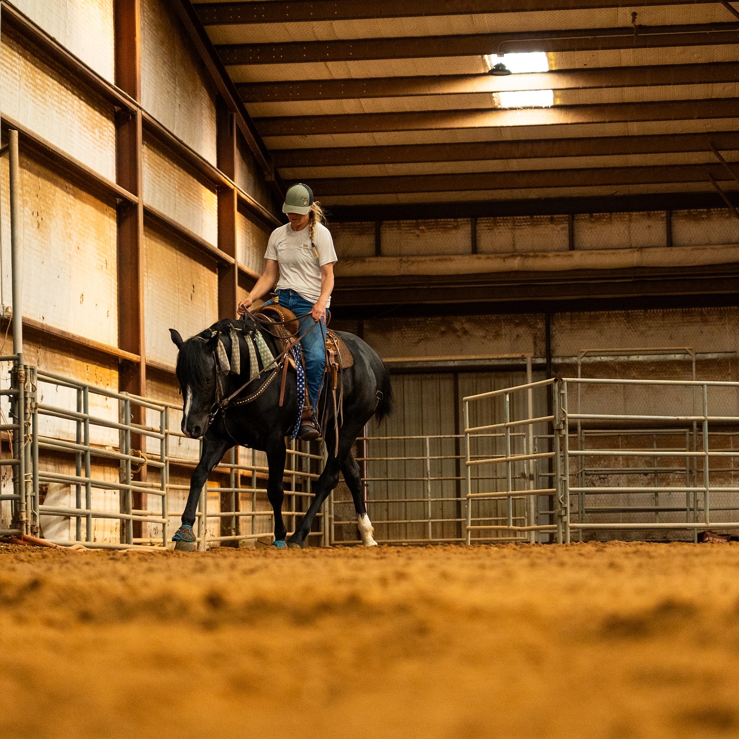 Elkheart Ranch LLC | Amarillo TX