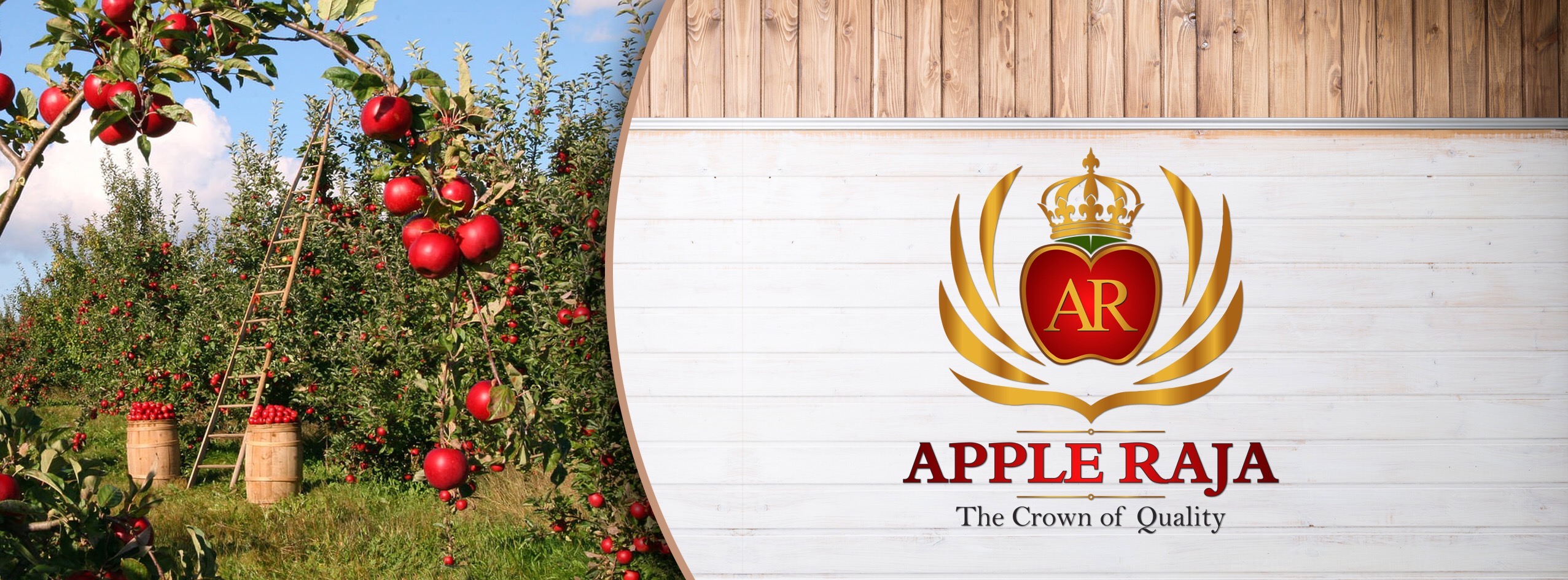 Apple Raja | Panchkula