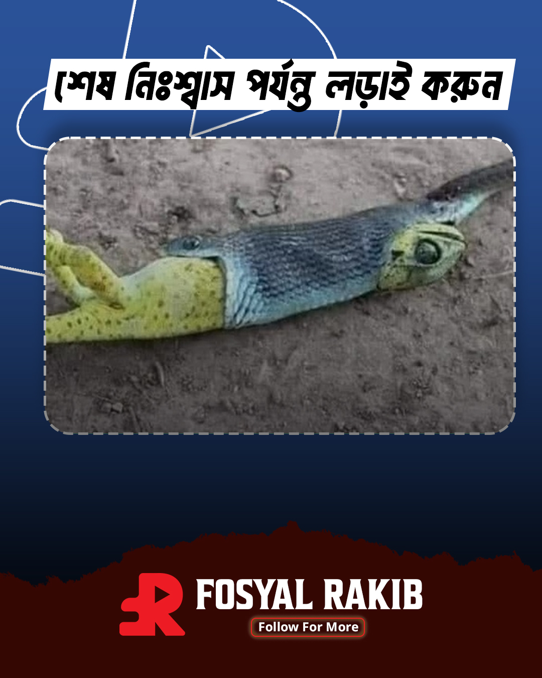Foysal Rakib