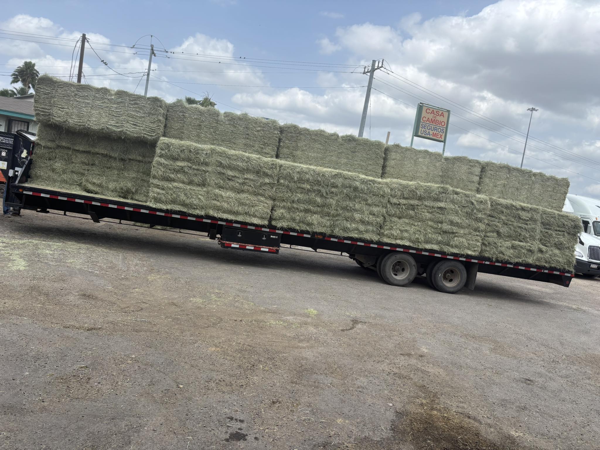 Bushland Ranch Store | Laredo TX
