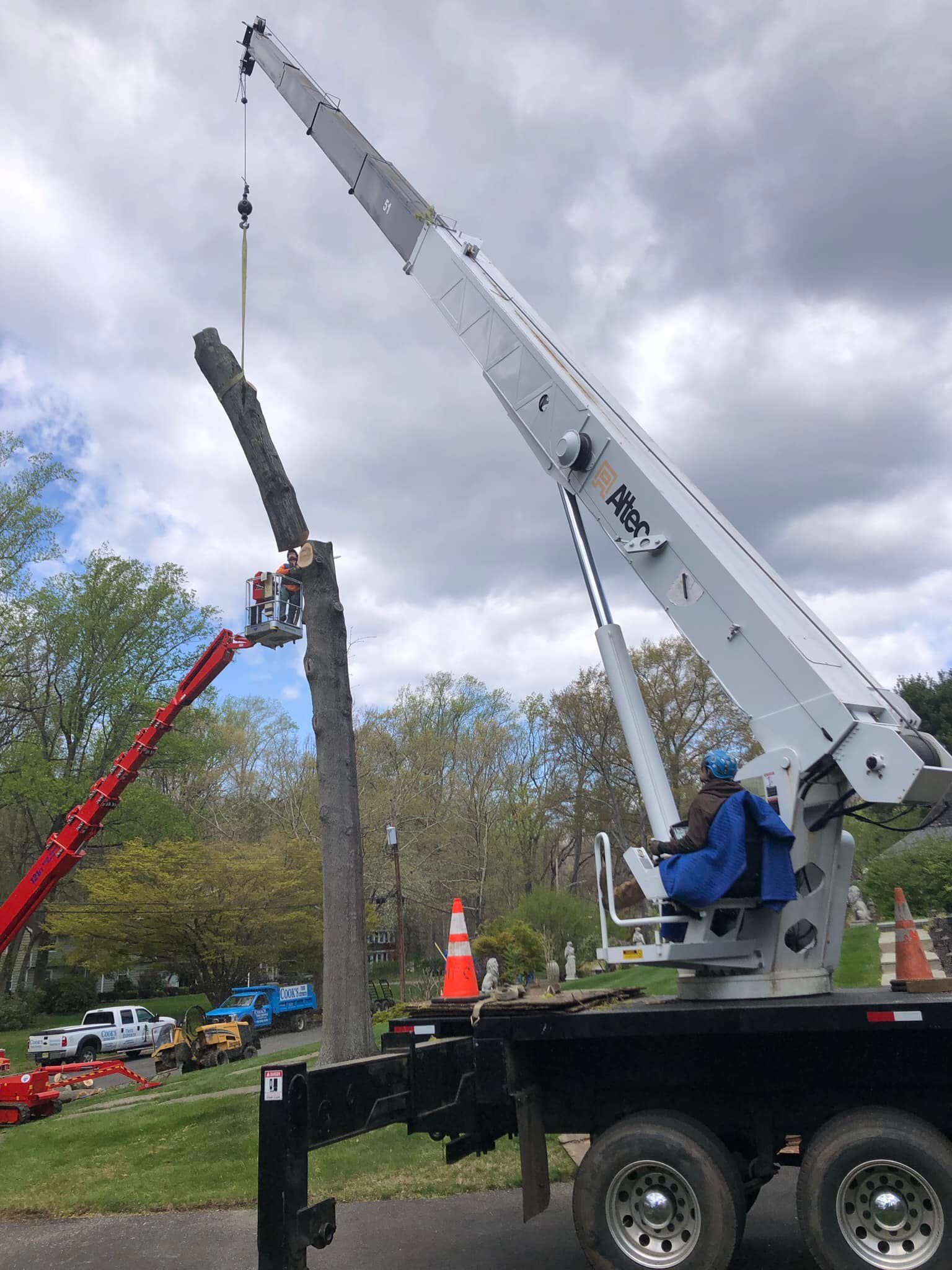 Cooks Tree Service inc. | Lincroft NJ
