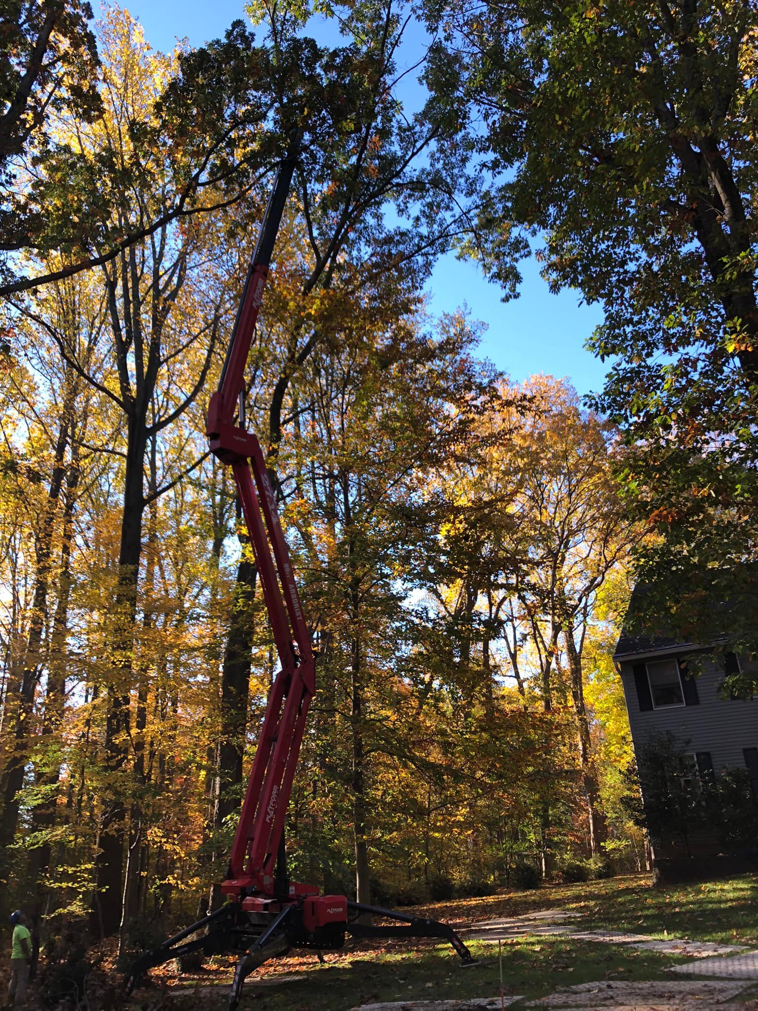 Cooks Tree Service inc. | Lincroft NJ