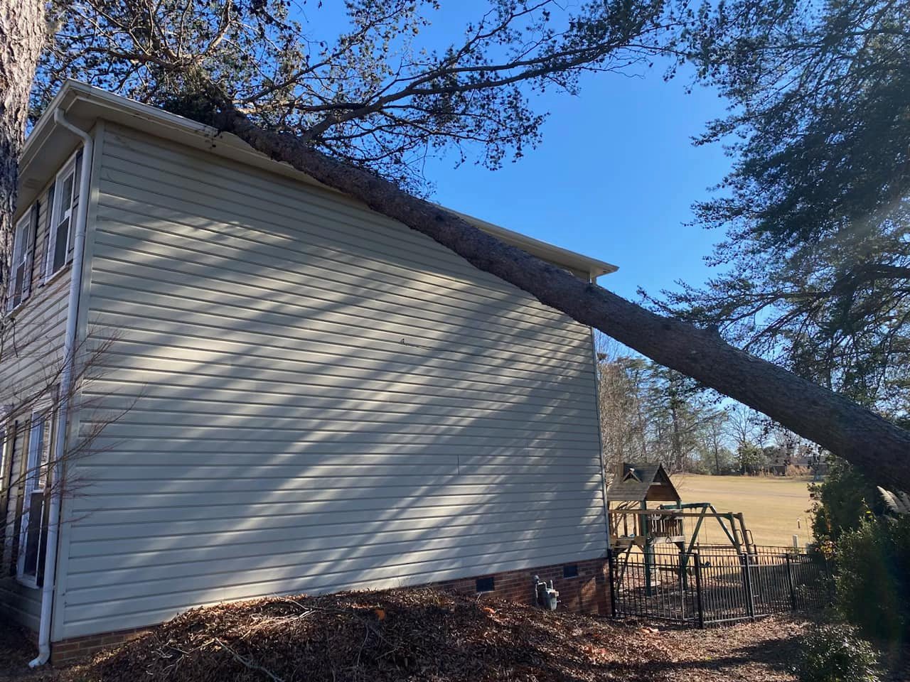 Renegade Stump Removal & Tree | Greer SC