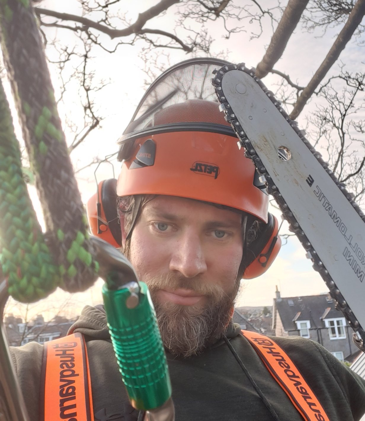 Tree Barbers Scotland | Aberdeen