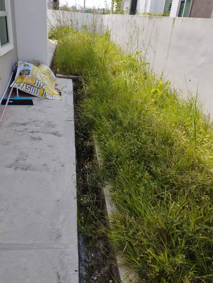 perkhidmata... - Perkhidmatan potong rumput Alor Setar / jitra