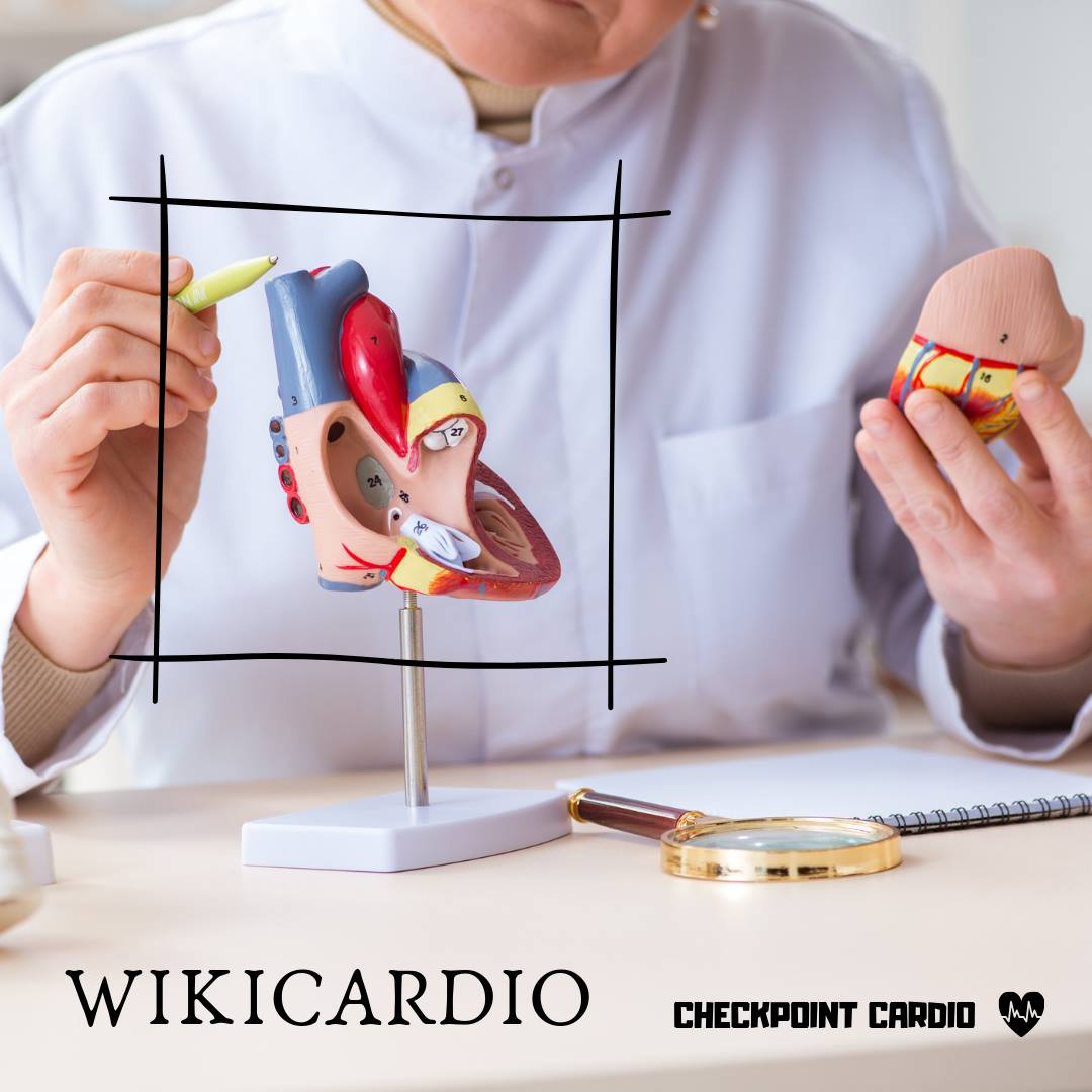 🤓 #Wikicardio ¿Qué son los... - Checkpoint_cardio