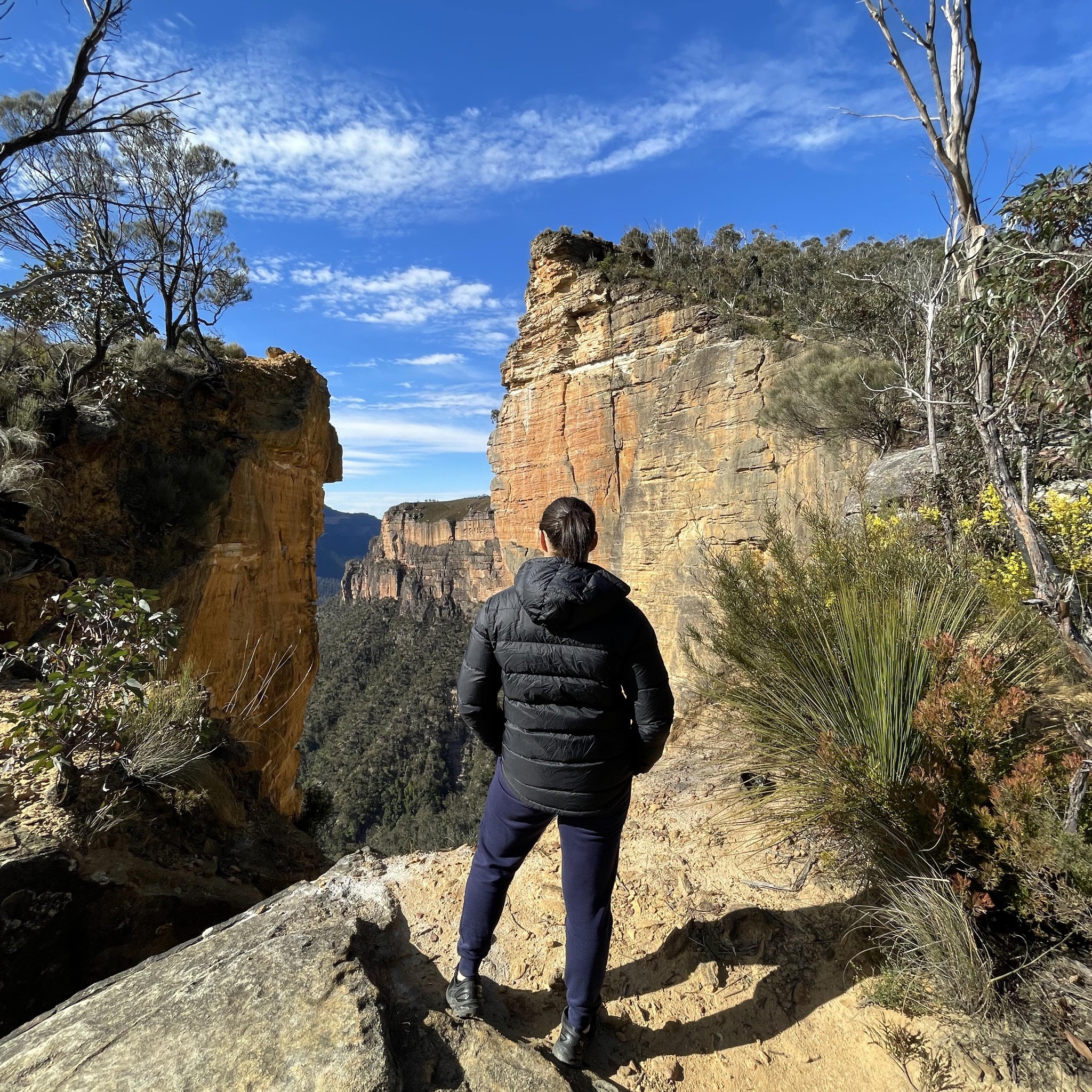 Canberra Notice Board Group | Looking for recommendations for someone ...