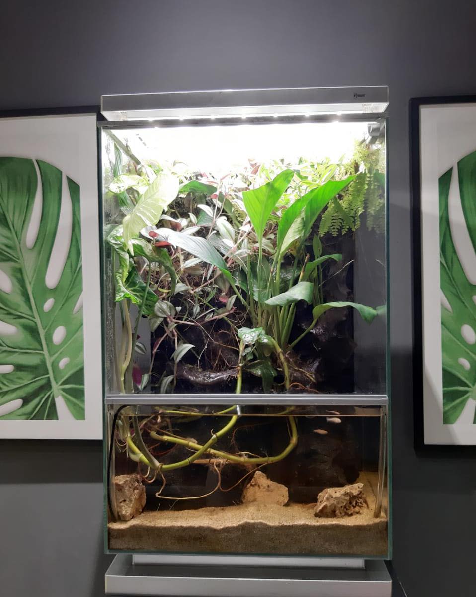 Biopod Smart Microhabitat... - Biopod Smart Microhabitat