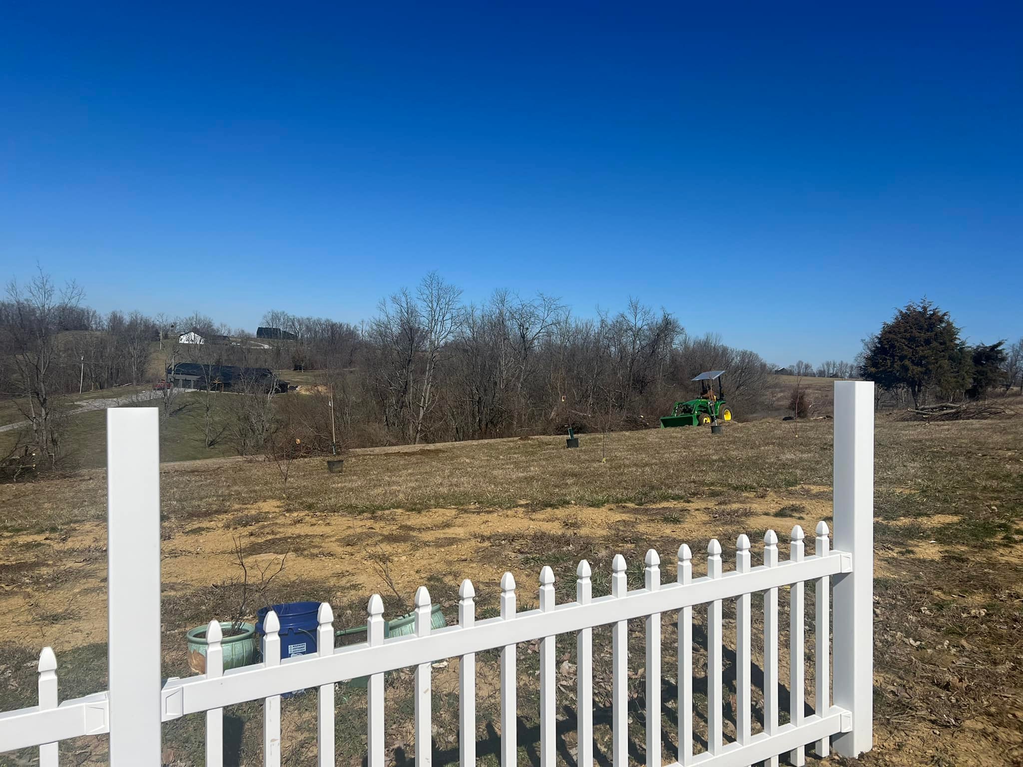 Big Dawg Tree Service & Stump Grinding | Mount Sterling KY