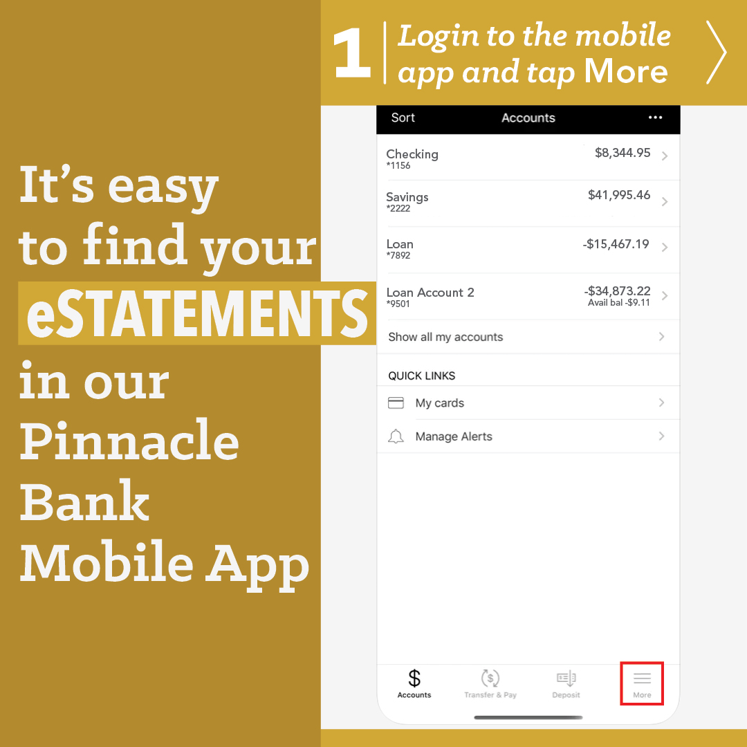 Pinnacle Bank - Did you know you can see your Pinndocs...