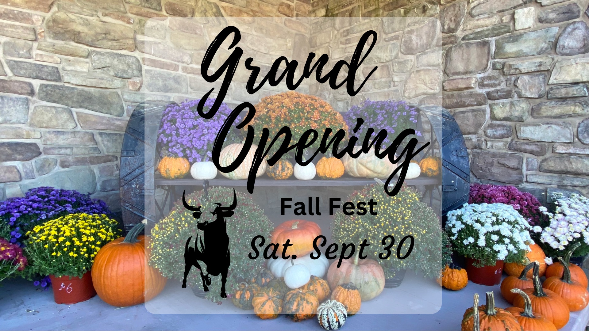 Widespread Country Market Grand Opening Fall Fest!