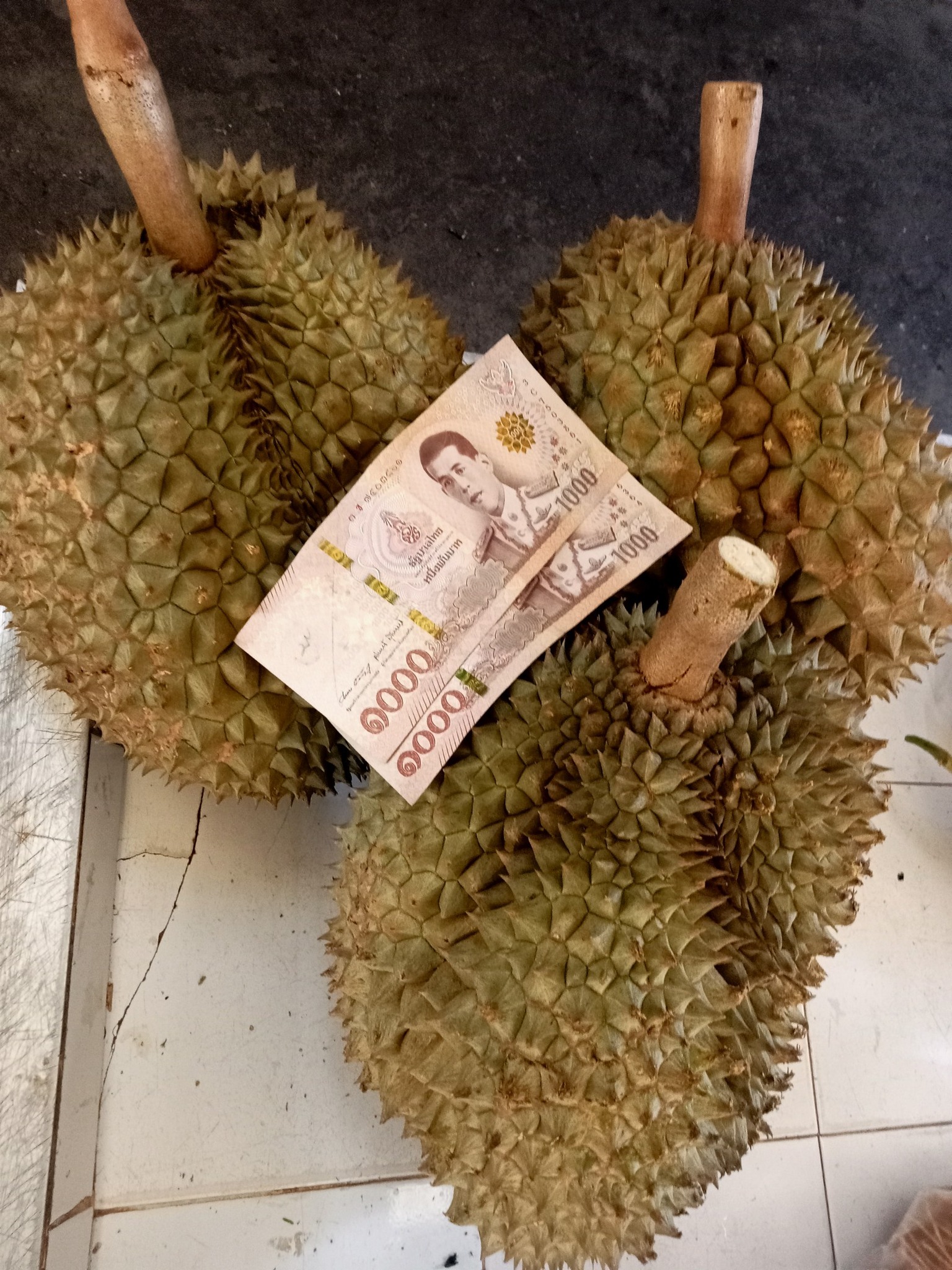 Passakorn Jaibun