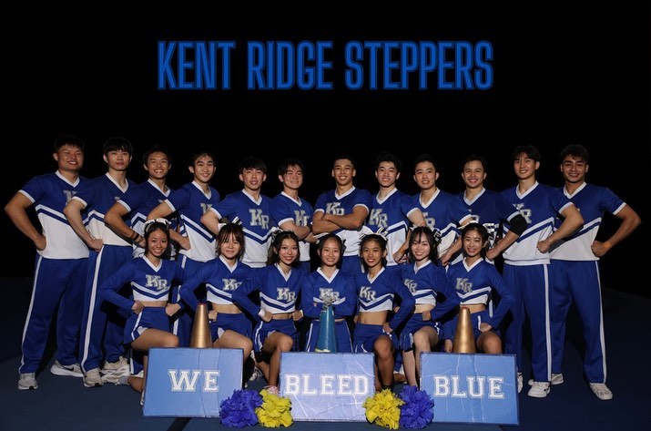KR Steppers