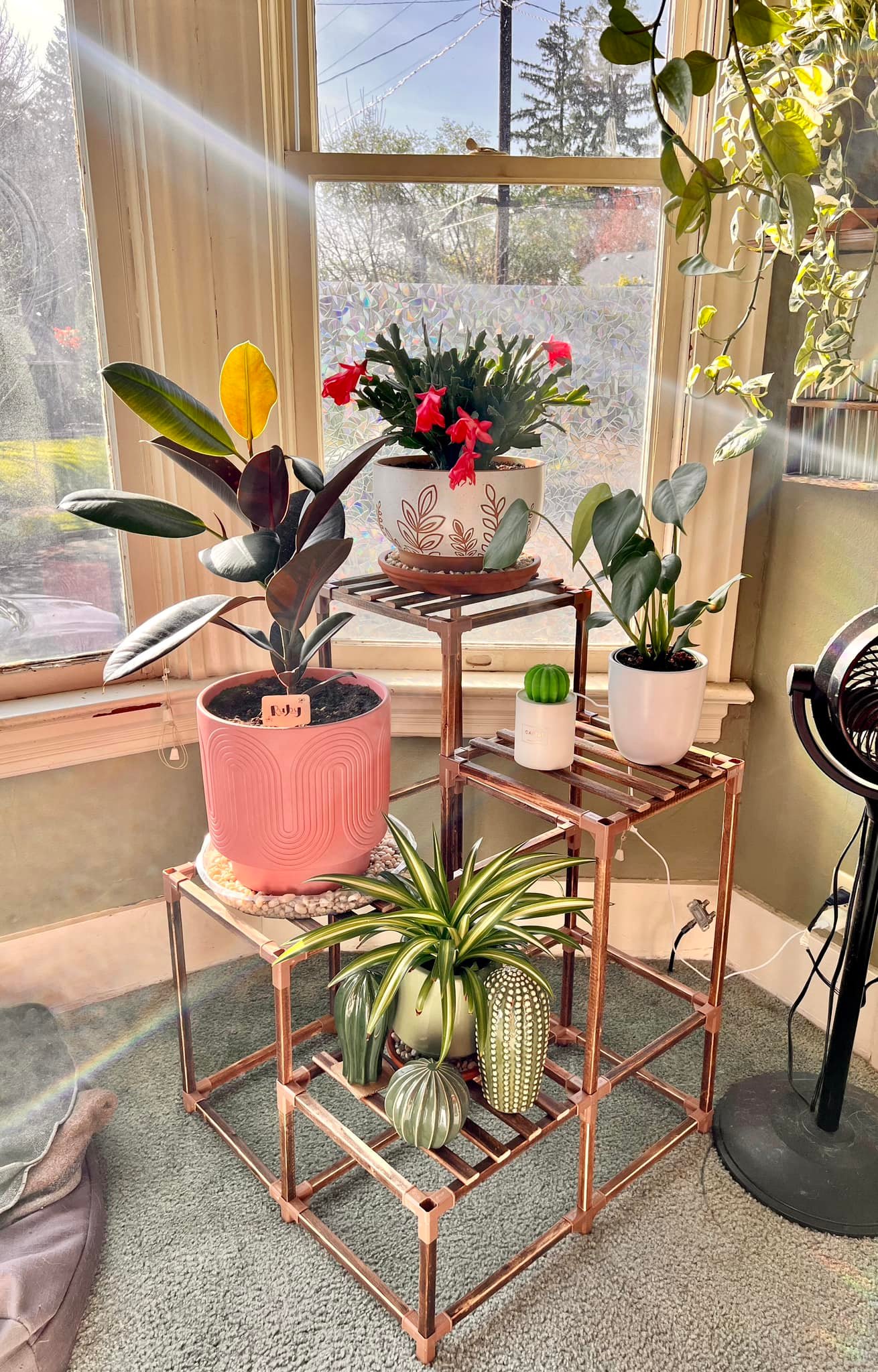POZILAN 100cm Tall Plant Stand With Grow Light | 2-Pack 5-Tier Metal Shelf For Indoor Plants