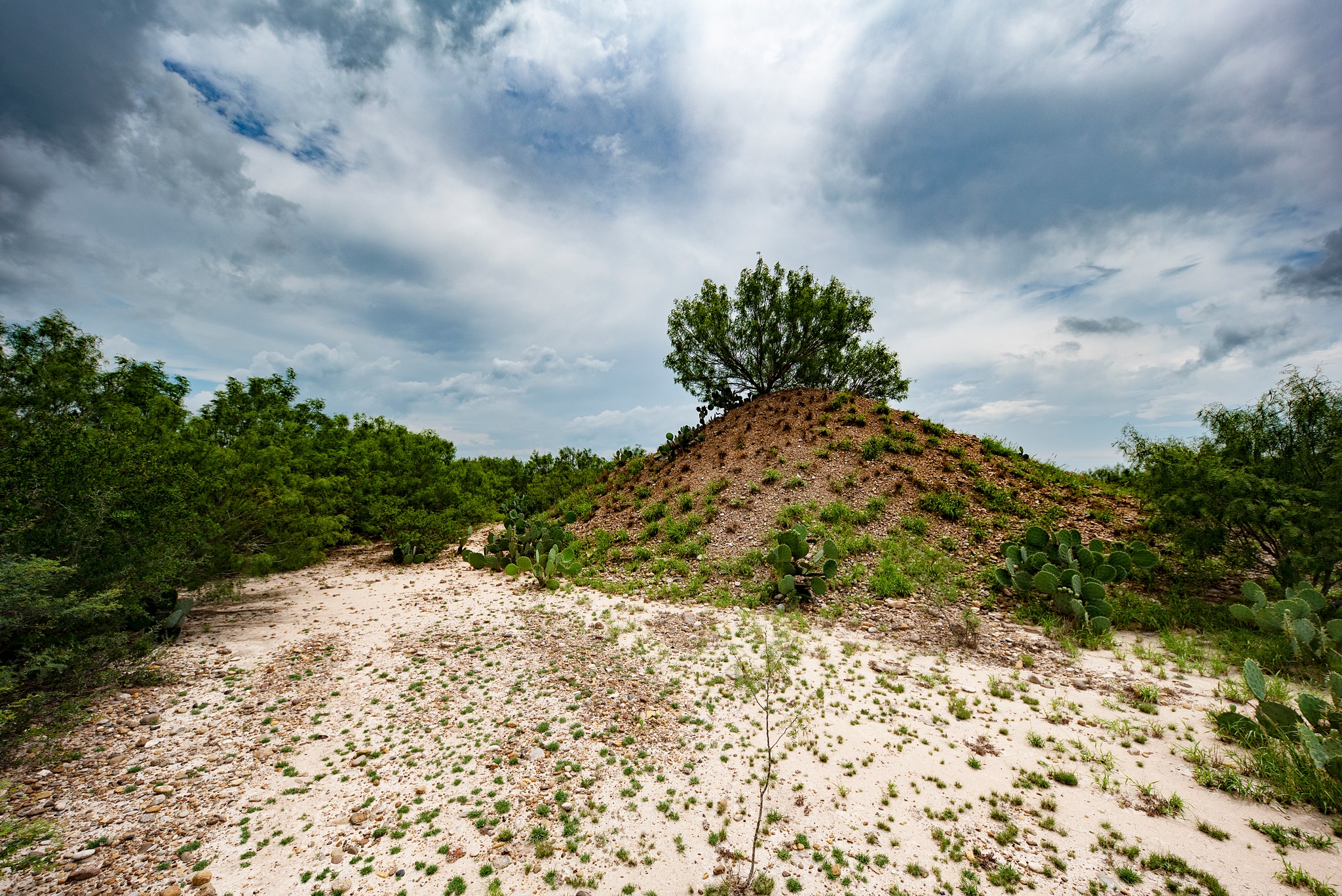 This 700± acre ranch has been... - Texas Ranch Sales, L.L.C.